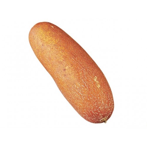 老黃瓜